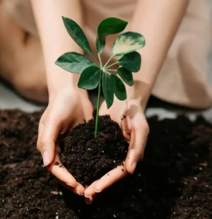 Amanti del territorio e della sostenibilità | AGRIBUYN