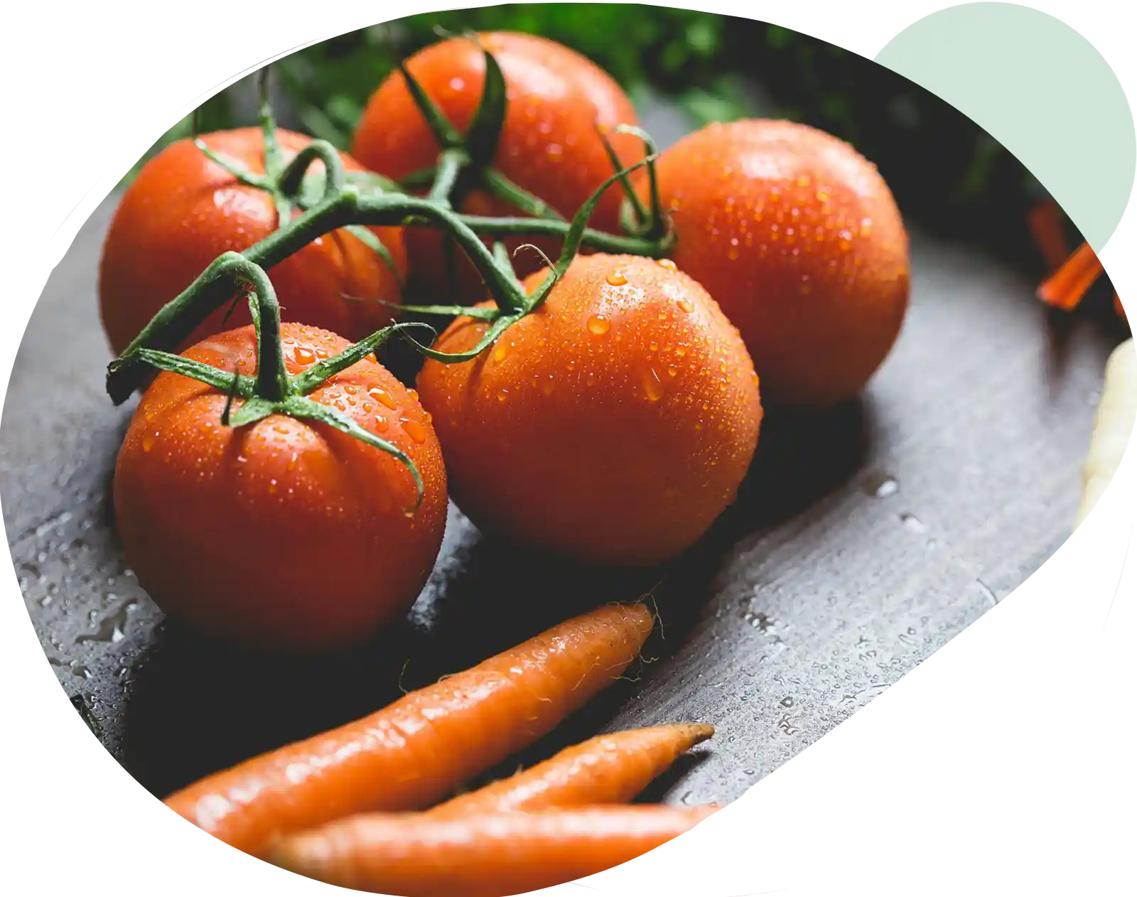 Freschezza Garantita | AGRIBUYN