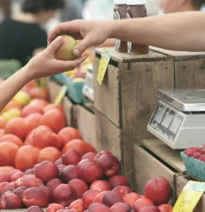 Professionisti con poco tempo | AGRIBUYN