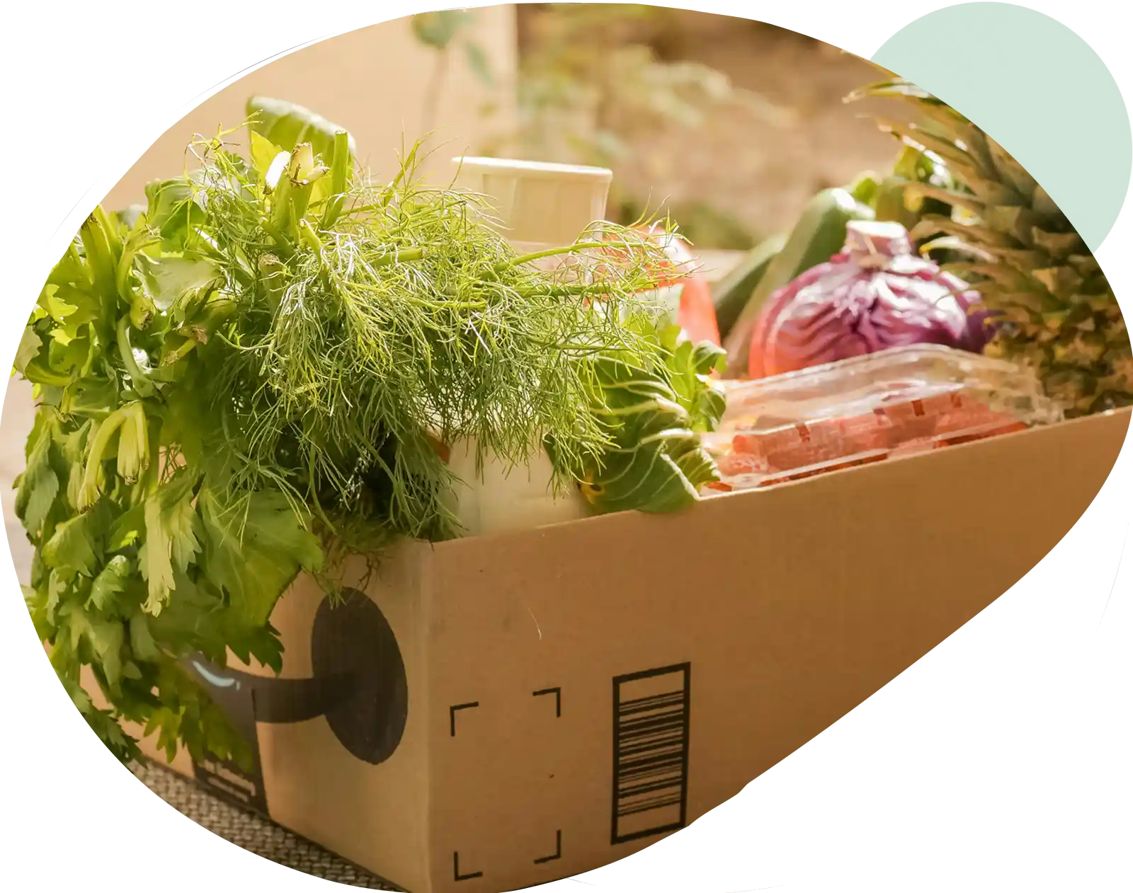 Tracciabilità Completa | AGRIBUYN