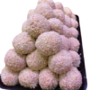 Polpette Impanate