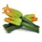 zucchine zucchine con fiore prezzo kg