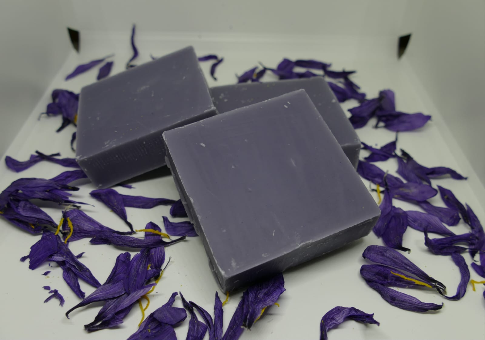 WhatsApp Image 2024-06-05 at 10.08.38 Saponetta Zaf Zaf - immagine 1