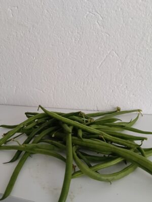 Fagiolini 1kg
