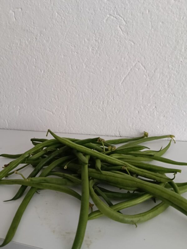Fagiolini 1kg