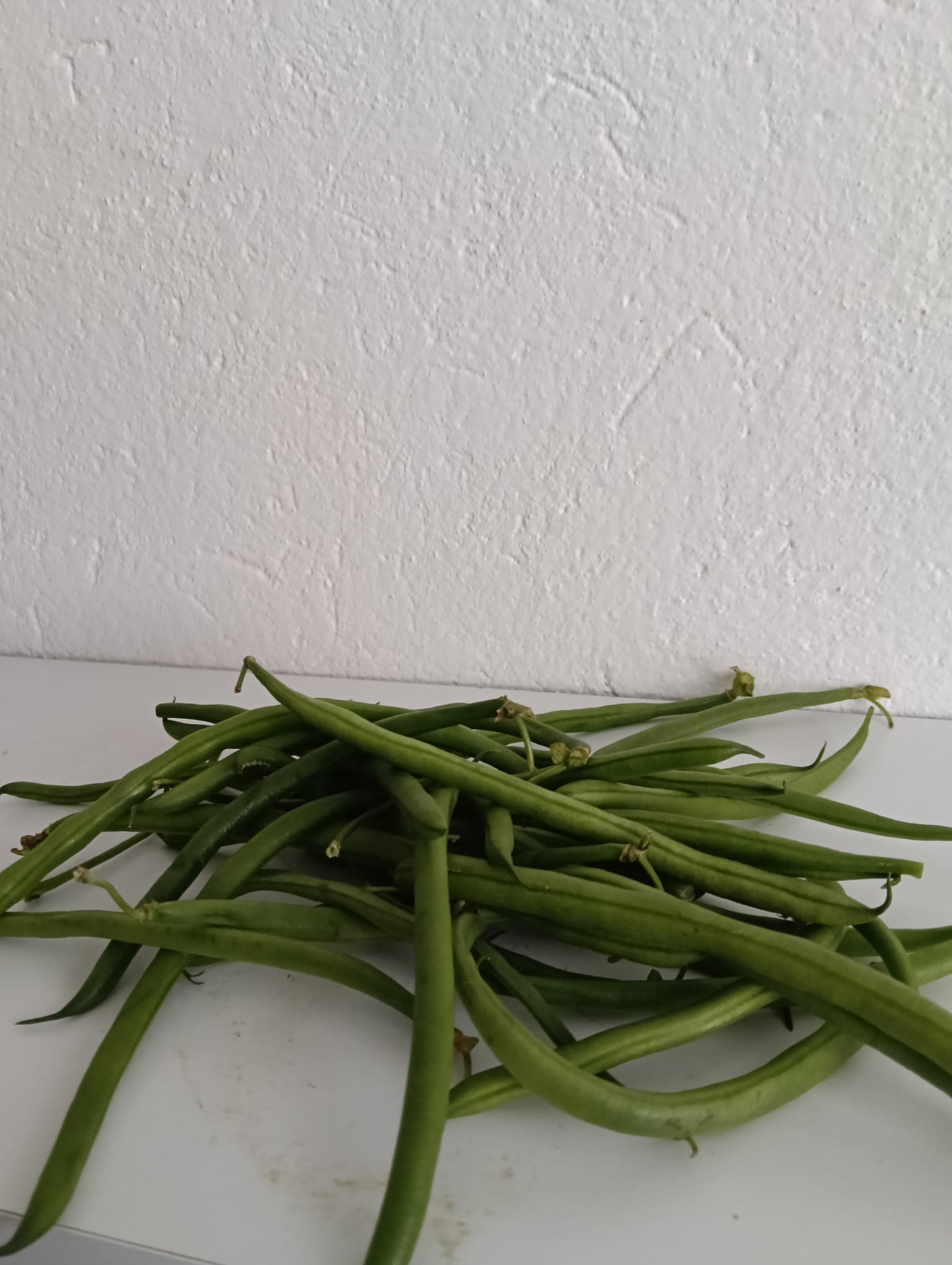 WhatsApp Image 2025-06-06 at 12.16.31 (1) Fagiolini 1kg - immagine 1