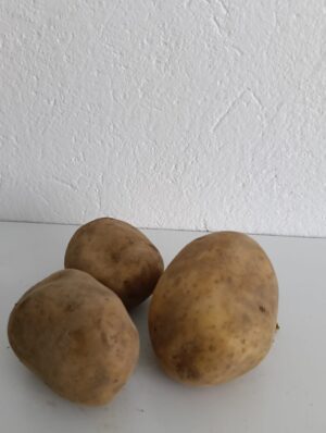 Patate 1kg