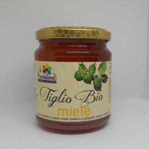 MIELE DI CASTAGNO BIOLOGICO 250g